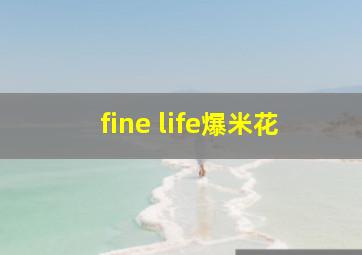 fine life爆米花